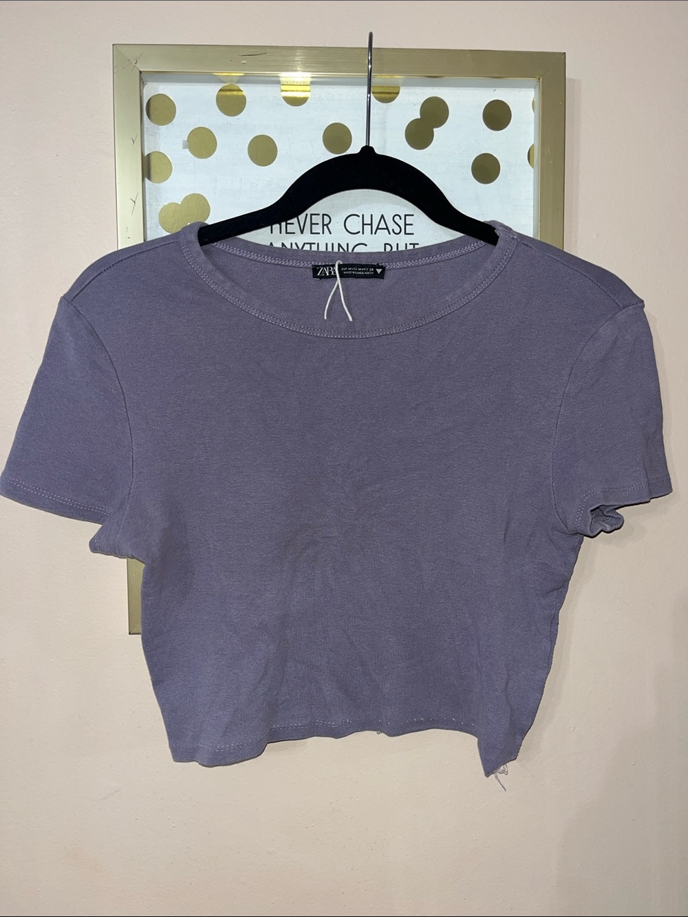 Zara Women’s Short Sleeve Crop Tee in Lavender — Size M